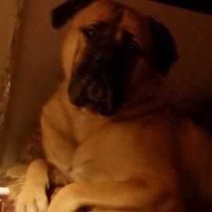 Meet your Posher, Ron